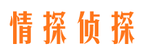 南部情探私家侦探公司